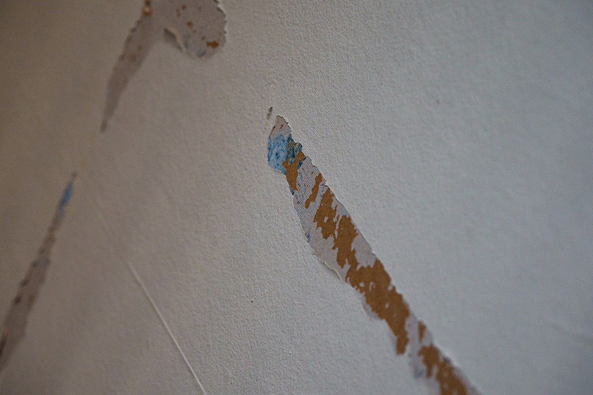 Sewage Cleanup service in Independence, MO